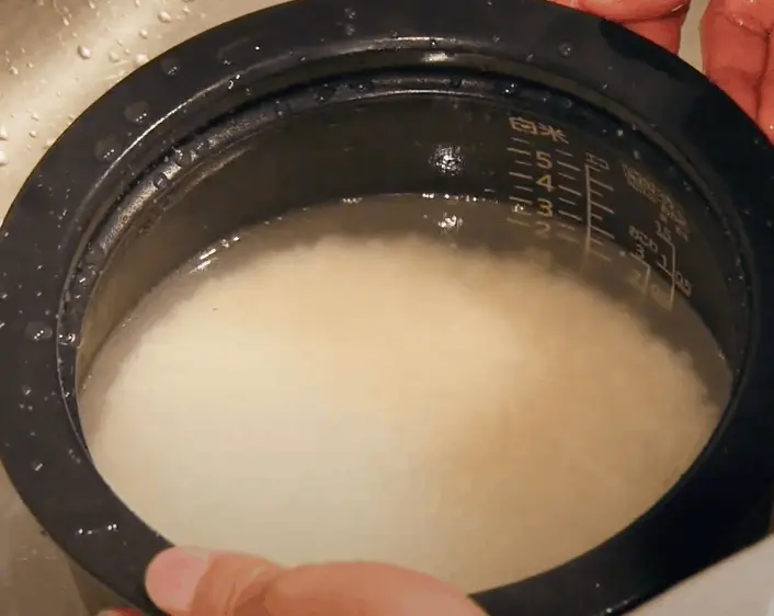 how to cook rice with a rice cooker