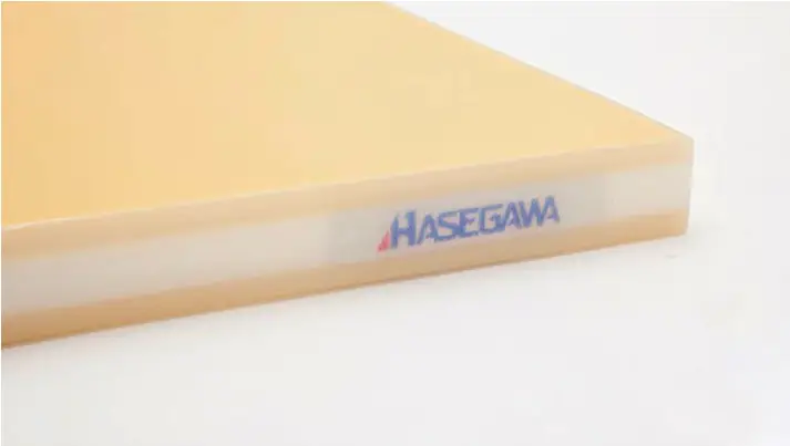 hasegawa closeup