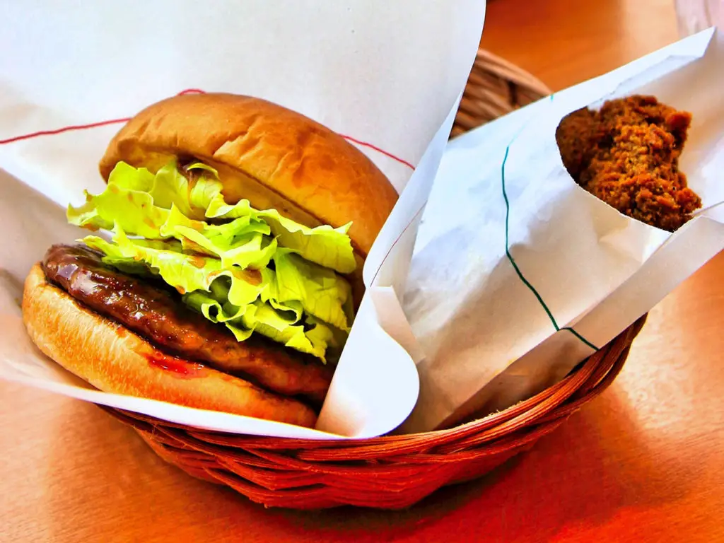 Top 10 Fast Food Chains in Japan