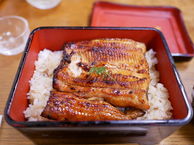 tokyo kantou style unagi unaju