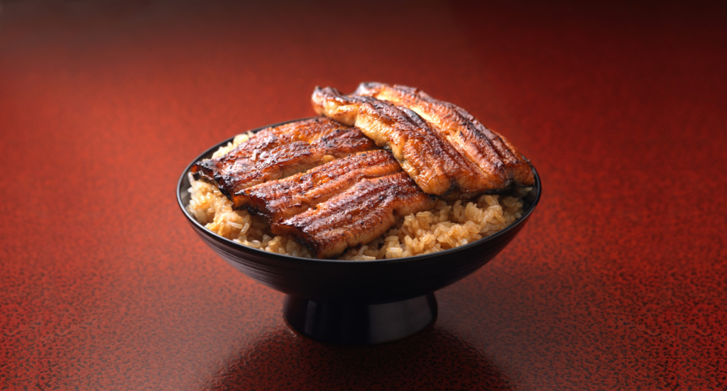 delicious unagi don