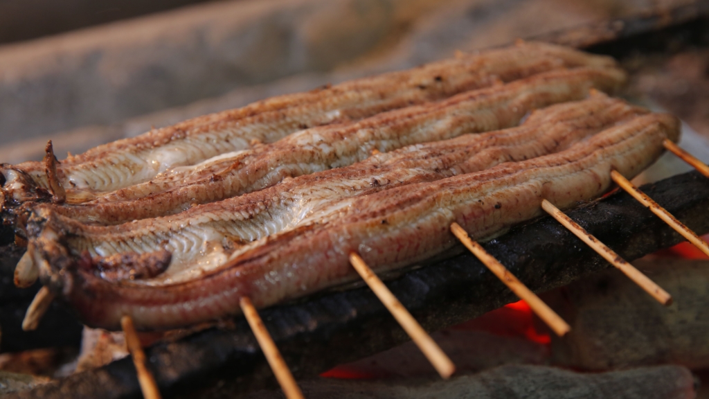 kabayaki eel