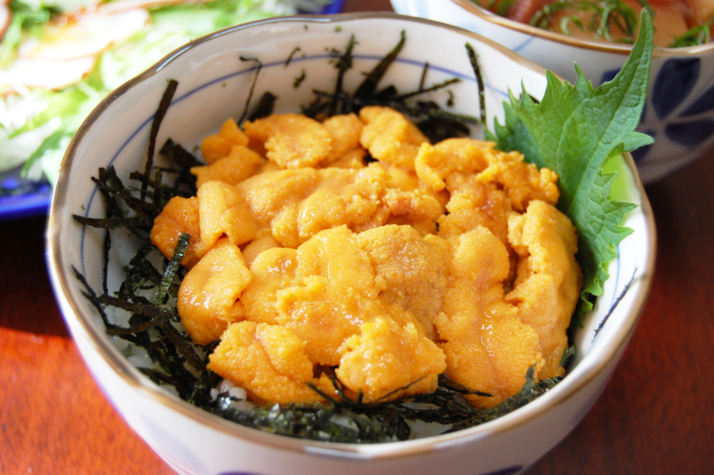 unidon sea urchin rice bowl
